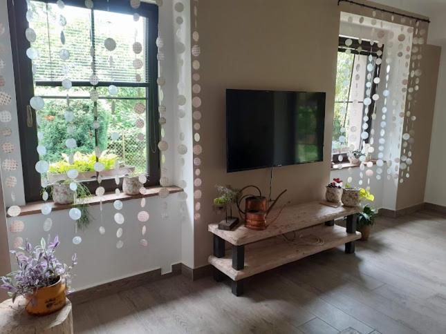 V Podzamci Apartment *
